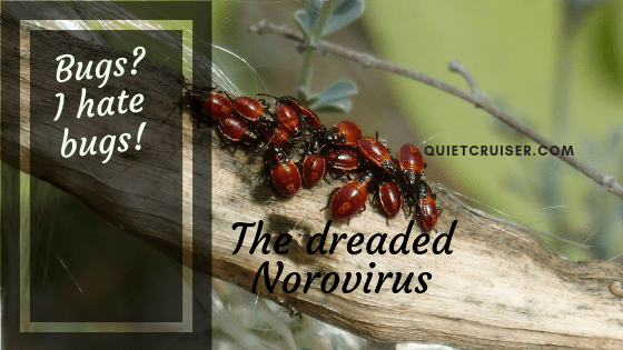 Norovirus cruise ship