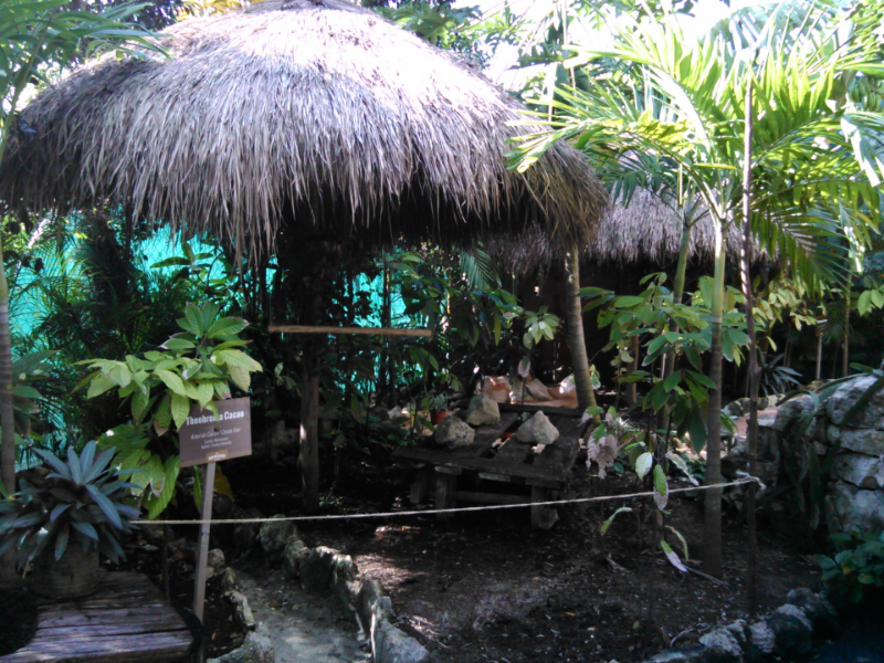 Cozumel Chocolate Factory