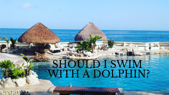 Dolphinaris Cozumel Review….should I swim with a&nbsp;Dolphin?