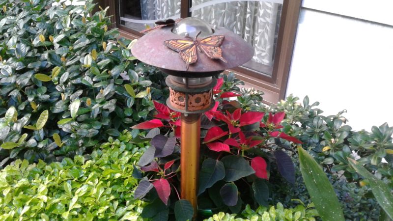 Oasis of the Seas Central Park