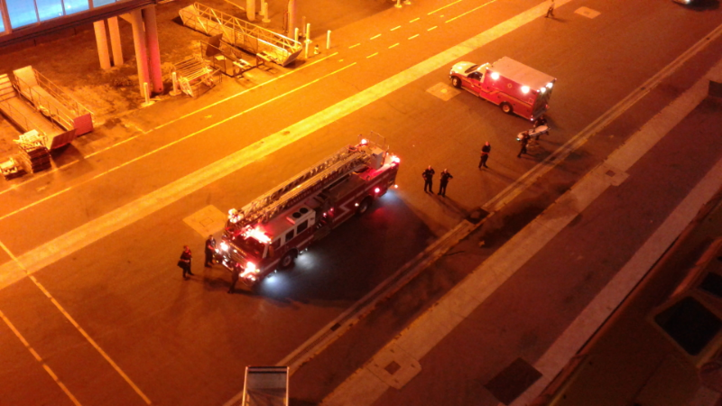 Oasis of the Seas Medical Emergency