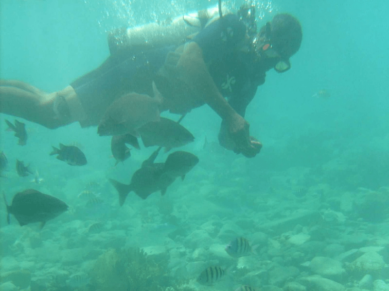 Snorkeler in Grand Case