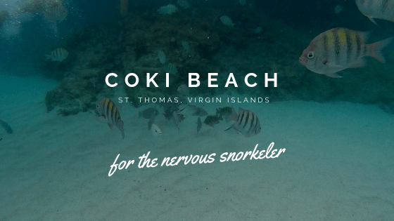 Coki Beach St Thomas Snorkeling