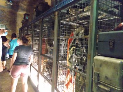 Rise of the Resistance