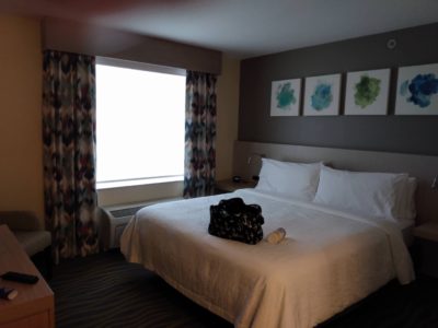 Hilton garden inn lake buena vista